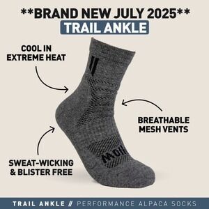 Hollow Trail Ankle Performance Alpaca Socks Grey Medium Hiking New With Tags